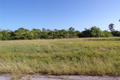 Land in Placida, Florida № 2164230