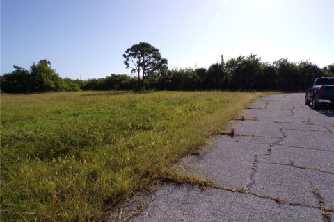 Land in Placida, Florida № 2164230 - photo 7