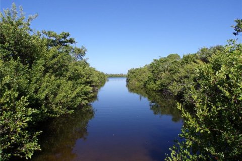 Land in Placida, Florida № 2164230 - photo 11