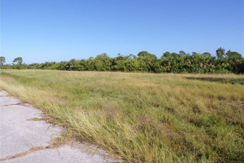 Land in Placida, Florida № 2164230 - photo 10