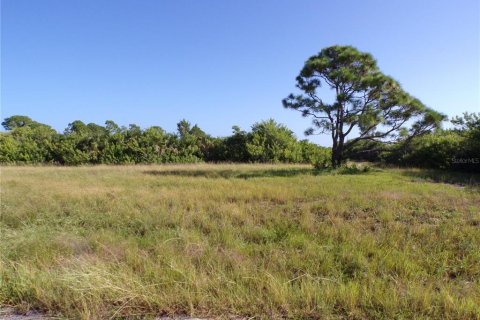 Land in Placida, Florida № 2164230 - photo 8