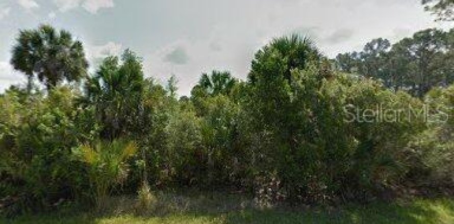 Terrain à Port Charlotte, Floride № 2160557