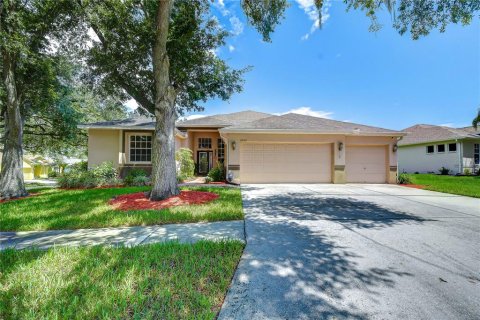 House in Valrico, Florida 5 bedrooms, 287.16 sq.m. № 2198887