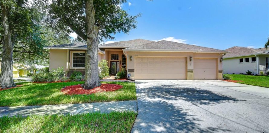 House in Valrico, Florida 5 bedrooms, 287.16 sq.m. № 2198887