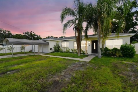 House in Tampa, Florida 5 bedrooms, 140.19 sq.m. № 1904711 - photo 1