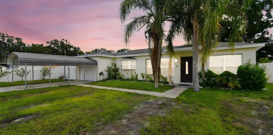 House in Tampa, Florida 5 bedrooms, 140.19 sq.m. № 1904711