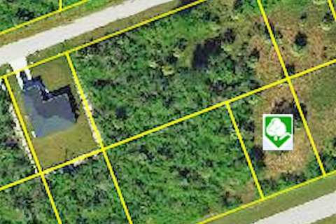 Land in Port Charlotte, Florida № 2158750 - photo 4