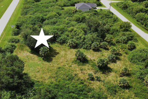 Land in Port Charlotte, Florida № 2158750 - photo 2