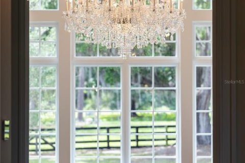 Villa ou maison à vendre à Ocala, Floride: 4 chambres, 844.48 m2 № 1767180 - photo 11
