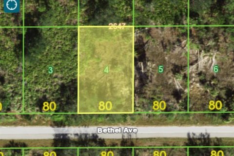 Land in Port Charlotte, Florida № 2163834 - photo 3