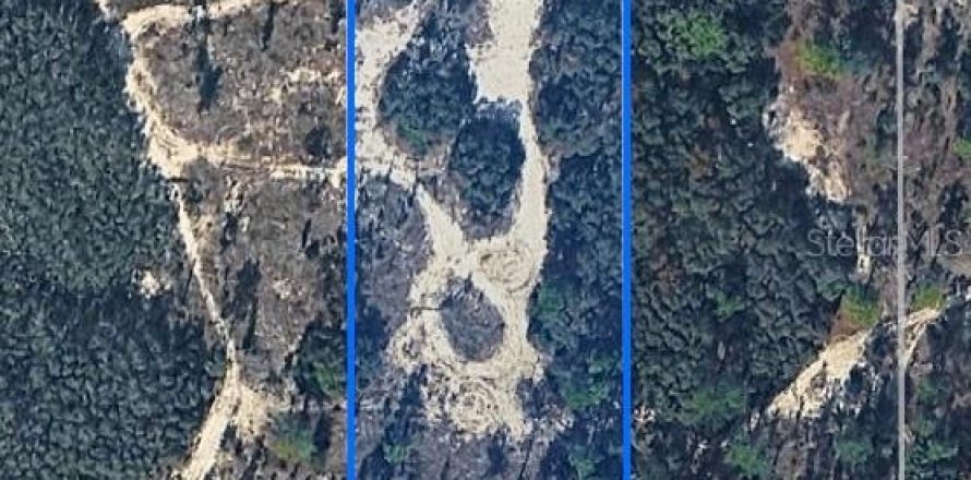 Land in Dunnellon, Florida № 2163688