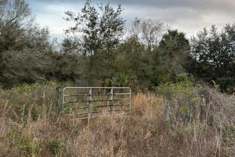 Terreno en venta en Okeechobee, Florida № 1534472 - foto 17