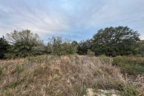Terreno en venta en Okeechobee, Florida № 1534472 - foto 3