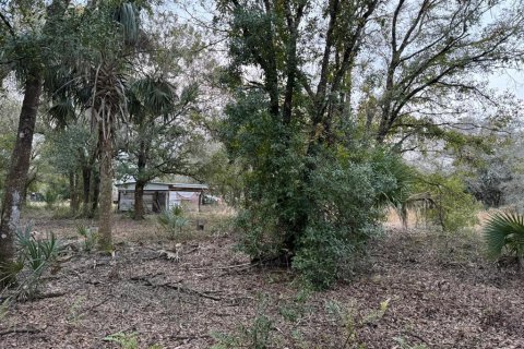 Terreno en venta en Okeechobee, Florida № 1534472 - foto 12