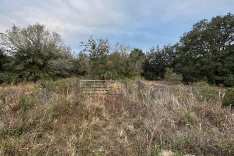Terreno en venta en Okeechobee, Florida № 1534472 - foto 4