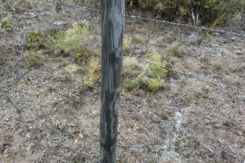 Terreno en venta en Okeechobee, Florida № 1534472 - foto 13