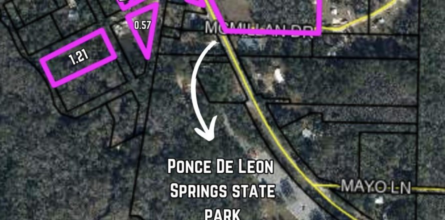 Commercial property in Ponce de Leon, Florida № 590012