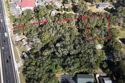 Terreno en venta en Lady Lake, Florida № 2225922 - foto 4