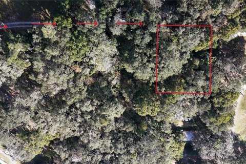 Terreno en venta en Lady Lake, Florida № 2225922 - foto 5