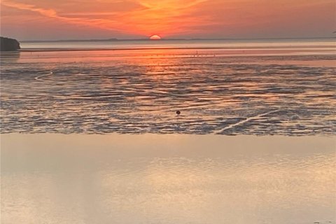 House in New Port Richey, Florida 3 bedrooms, 297.38 sq.m. № 1793895 - photo 15