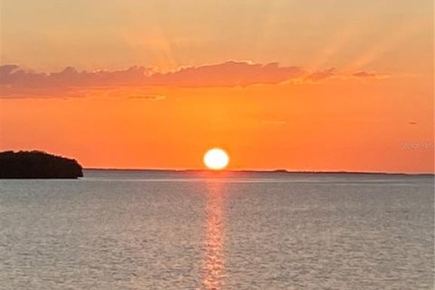 House in New Port Richey, Florida 3 bedrooms, 297.38 sq.m. № 1793895 - photo 17