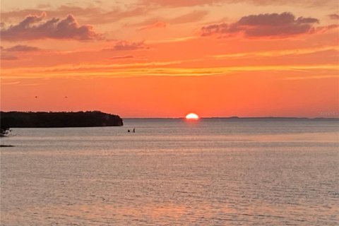 House in New Port Richey, Florida 3 bedrooms, 297.38 sq.m. № 1793895 - photo 13