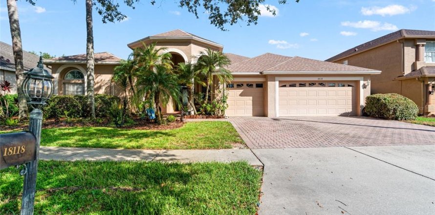House in Tampa, Florida 5 bedrooms, 301.75 sq.m. № 1886332