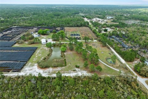 Land in Eustis, Florida № 2092390 - photo 10