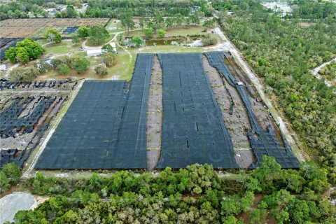 Land in Eustis, Florida № 2092390 - photo 8