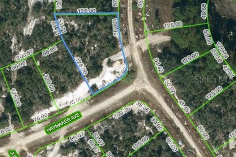 Land in Lake Placid, Florida № 2207839