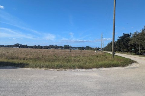 Terrain à vendre à Sebring, Floride № 2098130 - photo 5