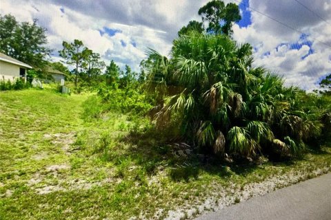 Terrain à Lehigh Acres, Floride № 2161137
