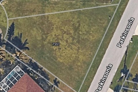 Terrain à Punta Gorda, Floride № 2099511