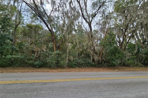 Land in Williston, Florida № 2162458 - photo 2