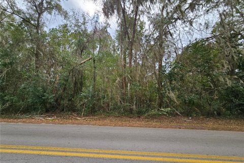 Land in Williston, Florida № 2162458 - photo 5