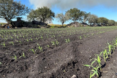 Купить коммерческую недвижимость в Палм-Бич, Флорида № 1984835 - фото 6