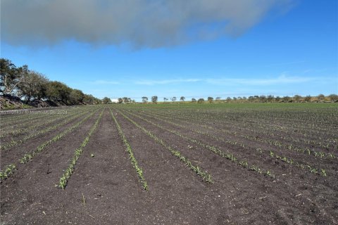 Купить коммерческую недвижимость в Палм-Бич, Флорида № 1984835 - фото 3