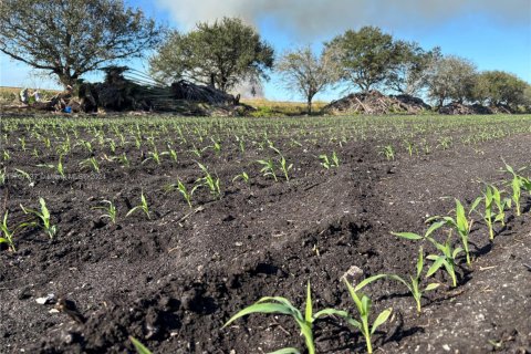 Купить коммерческую недвижимость в Палм-Бич, Флорида № 1984835 - фото 16