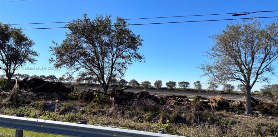 Коммерческая недвижимость в Палм-Бич, Флорида № 1984835