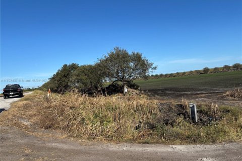 Купить коммерческую недвижимость в Палм-Бич, Флорида № 1984835 - фото 5