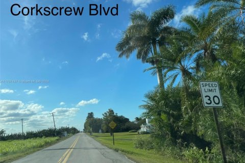 Купить коммерческую недвижимость в Палм-Бич, Флорида № 1984835 - фото 13