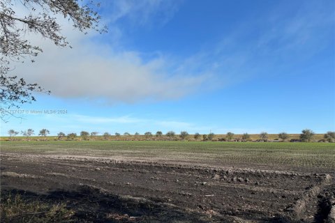 Купить коммерческую недвижимость в Палм-Бич, Флорида № 1984835 - фото 4