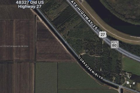 Купить коммерческую недвижимость в Палм-Бич, Флорида № 1984835 - фото 17