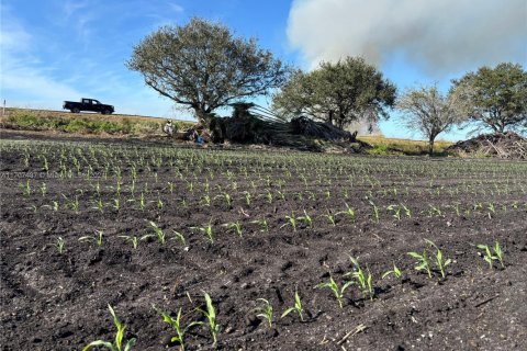 Купить коммерческую недвижимость в Палм-Бич, Флорида № 1984835 - фото 7