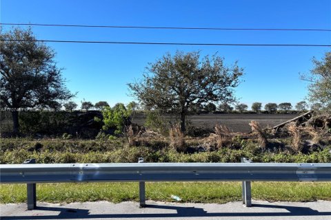 Купить коммерческую недвижимость в Палм-Бич, Флорида № 1984835 - фото 8