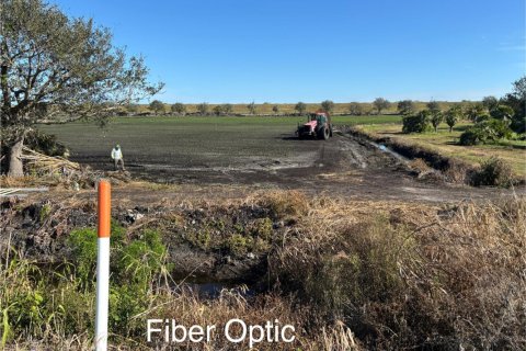 Купить коммерческую недвижимость в Палм-Бич, Флорида № 1984835 - фото 14