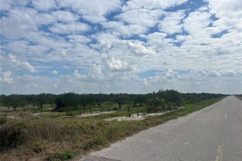 Terrain à Arcadia, Floride № 2142590