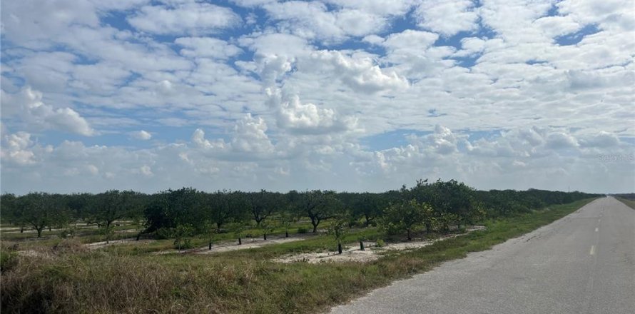 Land in Arcadia, Florida № 2142590
