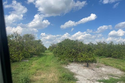 Land in Arcadia, Florida № 2142590 - photo 3