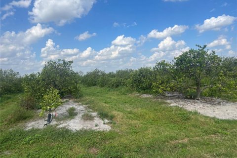Land in Arcadia, Florida № 2142590 - photo 2